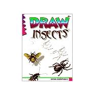 Draw Insects