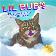 Lil Bub 2016 Wall Calendar