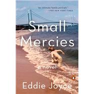 Small Mercies A Novel