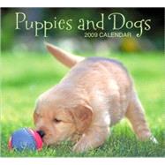 Puppies and Dogs 2009 Calendar