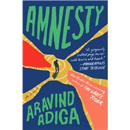 Amnesty A Novel