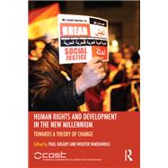 Human Rights and Development in the new Millennium: Towards a Theory of Change