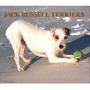 For the Love of Jack Russell Terriers 2007 Deluxe Calendar