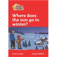 Where does the Sun go in Winter? Level 5