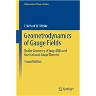 Geometrodynamics of Gauge Fields