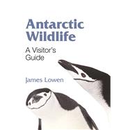 Antarctic Wildlife