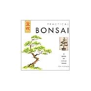 Practical Bonsai A Book of Little Trees