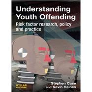 Understanding Youth Offending