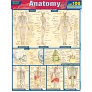 Anatomy Quizzer