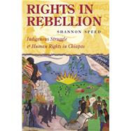 Rights in Rebellion : Indigenous Struggle and Human Rights in Chiapas