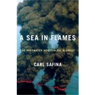 Sea in Flames : The Deepwater Horizon Oil Blowout