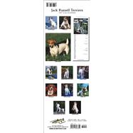 Jack Russell Terriers 2007 Slimline Calendar
