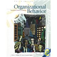 Organizational Behavior: Foundations, Realities, and Challenges