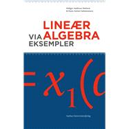 Lineaer Algebra Via Eksempler