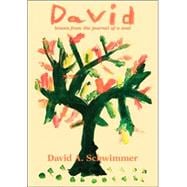 David : Leaves from the Journal of A Soul
