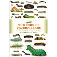 The Book of Caterpillars