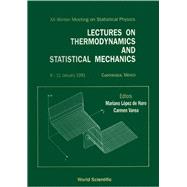 Lectures on Thermodynamics and Statistical Mechanics