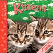 Little Lives: Kittens A pop-up life journey