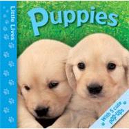 Little Lives: Puppies A pop-up life journey
