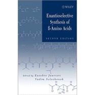 Enantioselective Synthesis of Beta-Amino Acids,9780471467380