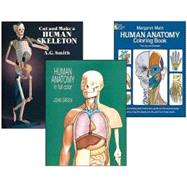Human Anatomy Activity Set