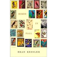 Birds in Fall; A Novel