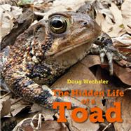 The Hidden Life of a Toad