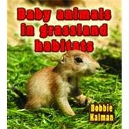 Baby Animals in Grassland Habitats