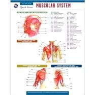 Muscular System: Rea Quick Access Reference Chart