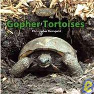 Gopher Tortoises