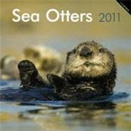 Sea Otters 2011 Calendar