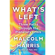 What's Left Three Paths Through the Planetary Crisis