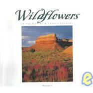 Wildflowers of the Plateau & Canyon Country