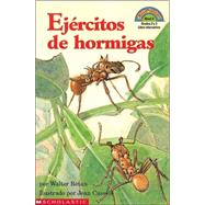 Ejércitos de hormigas