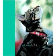 Cats & Kittens Address Book