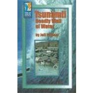 Tsunami! : Deadly Wall of Water