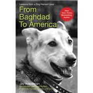 From Baghdad To Amer Pa