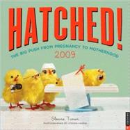 Hatched! The Big Push From Pregnancy to Motherhood; 2009 Mini Wall Calendar