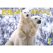 Polar Bears 2006 Calendar