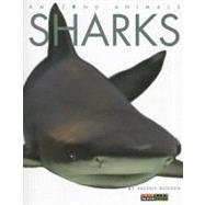Amazing Animals: Sharks