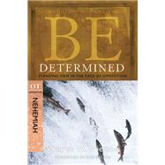 Be Determined (Nehemiah) Standing Firm in the Face of Opposition