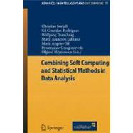 Combining Soft Computing and Statistical Methods in Data Analysis