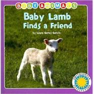 Baby Lamb Finds a Friend