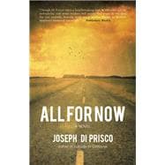 All For Now A Novel