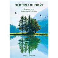 Shattered Illusions Reflections on my Disastrous Mid-Life Crisis