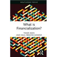 What is Financialization?
