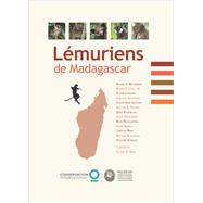 Lémuriens De Madagascar
