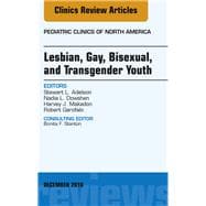 Lesbian, Gay, Bisexual, and Transgender Youth
