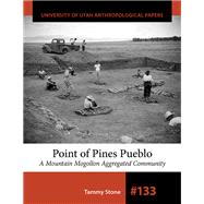 Point of Pines Pueblo
