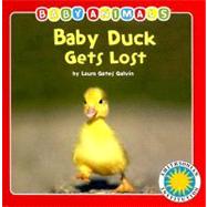 Baby Duck Gets Lost